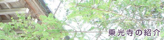乗光寺の紹介